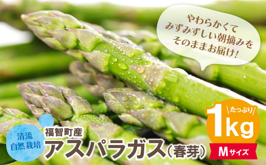 H18-39-01 清流・自然栽培 アスパラガス(春芽) 1kg(Mサイズ)