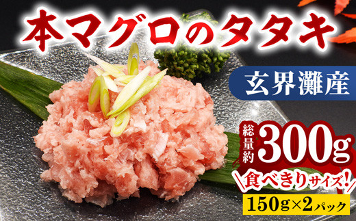 【大町町海鮮倶楽部】玄界灘産『本マグロ』タタキ 2パックUI0009 631295 - 佐賀県大町町