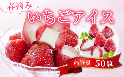 春摘み いちごアイス（50粒）金賞受賞 一口アイス ヒカリ乳業
