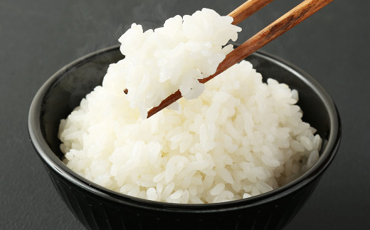 熊本県産 森のくまさん お米 無洗米 九州産