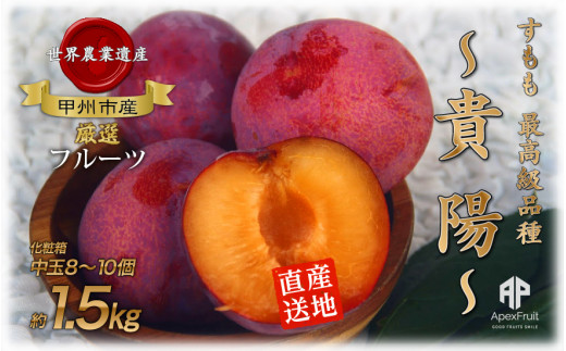 B12-195．【2023年先行予約】すもも『貴陽』約1.5kg　化粧箱8～10個入り（クール便）（APX）