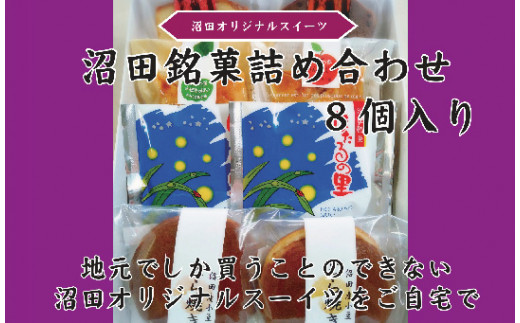 沼田銘菓詰め合わせセット（8個入）北海道産