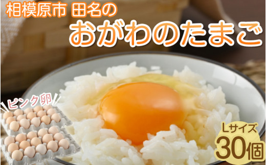 サンプル写真