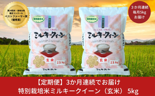 定期便5kg×3ヶ月] ミルキークイーン 特別栽培米 計15kg 玄米 新潟県産