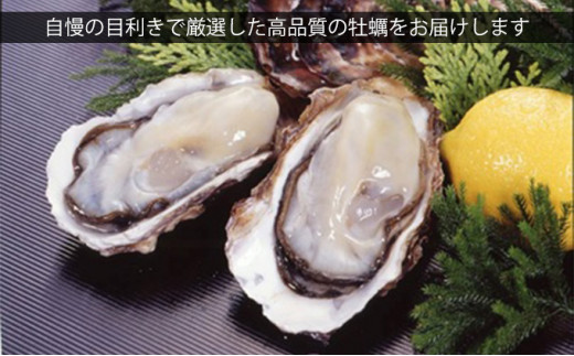 宮城県産むき牡蠣（生食用）500g - 宮城県南三陸町｜ふるさとチョイス