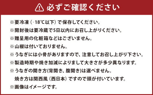 【老舗鮮魚店の味】九州産うなぎ蒲焼2尾 秘伝つゆだくタレ付 岡垣町