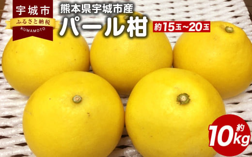 熊本県 宇城市産 パール柑 約10kg（約15玉～20玉入り）