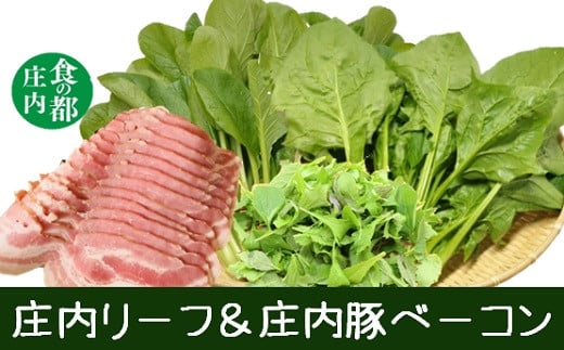 食の都庄内 庄内リーフ&庄内豚ベーコン※令和8年1月より順次配送