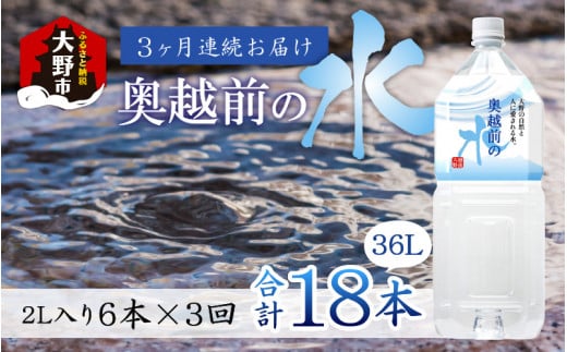 【3ヶ月連続お届け】奥越前の水 PET2L×6本 計3回  231622 - 福井県大野市