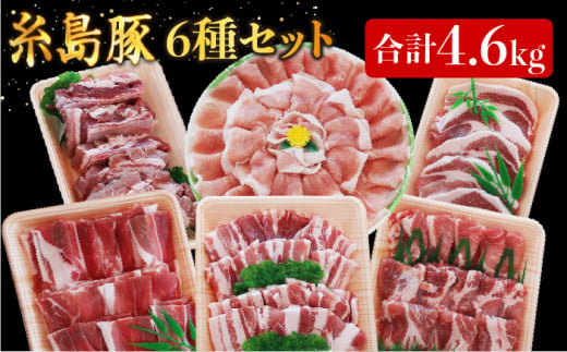 合計4.6kg!糸島豚 食べ尽くし セット ( とんかつ / 肩ロース / しゃぶしゃぶ / 豚バラ / スペアリブ / 小間切れ ) 糸島 / トラヤミートセンター [AJD005] 国産 豚肉 とんかつ