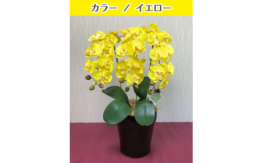 光触媒造花胡蝶蘭 3本立(イエロー) 2127818 - 岐阜県大垣市
