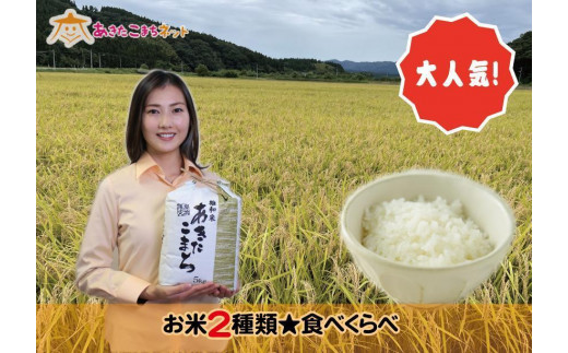限定でセール価格とします ふるさと納税 秋田市 2023年3月発送開始 ...