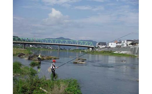 鮎遊漁承認証（年券） 478238 - 和歌山県九度山町