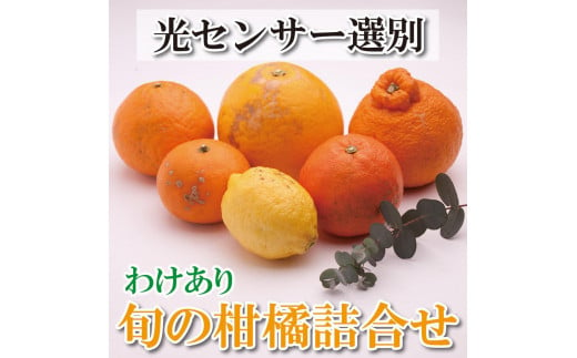 ＜1月より発送＞家庭用 柑橘詰合せ3kg+90g（傷み補償分）【訳あり・わけあり】【有田の春みかん詰め合わせ・フルーツ詰め合せ・オレンジつめあわせ】【光センサー選別】