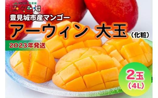 【2023年発送】アーウィンマンゴー大玉（4L：2玉）化粧