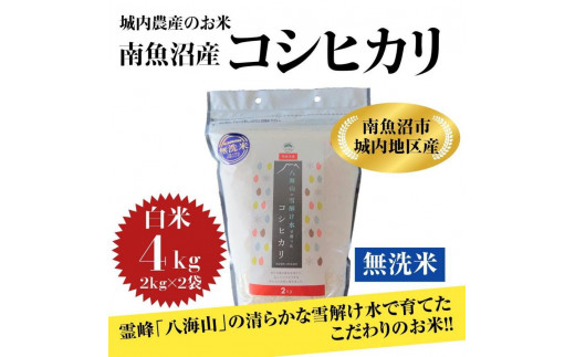新潟県 南魚沼産 コシヒカリ お米 こしひかり 精米 無洗米 のし 贈り物  熨斗 贈答用 令和4年産 城内農産 特A地区米 4kg(2kg×2袋)