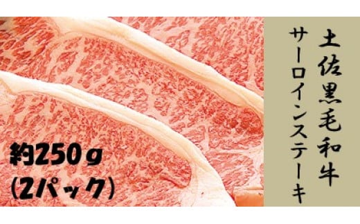 土佐黒毛和牛　サーロインステーキ　約250g×２枚 444771 - 高知県高知市