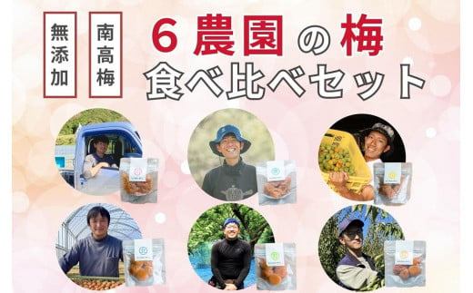 【無添加梅干し】６農家さんの梅干し食べ比べセット ／ 南高梅　A-067