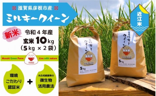 【令和５年産・玄米】近江米10kg「ミルキークイーン」5kg×2