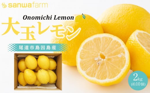 尾道産 大玉 レモン 2キロ ワックス 防腐剤不使用 624202 - 広島県尾道市