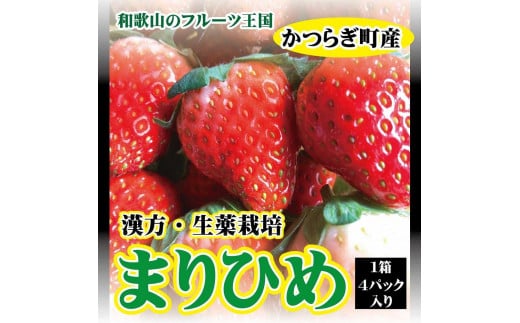 【フルーツ王国和歌山生まれの品種「まりひめ」】いちご 4パック【2024年3月中旬～2024年4月下旬まで順次発送】 455494 - 和歌山県かつらぎ町