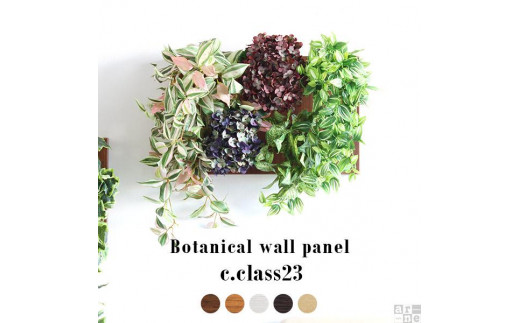 Botanical c.class 23　北欧チーク