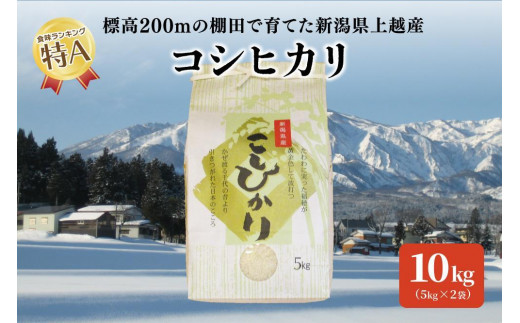 標高200ｍで育てた棚田米｜令和5年産・新潟県上越産・従来種コシヒカリ精米10kg（5kg×2袋）