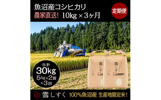 定期便！魚沼産コシヒカリ【合計30kg】毎月10kg×3回 507586 - 新潟県十日町市