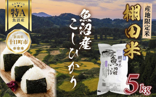 棚田米 魚沼産 コシヒカリ 5kg 新潟県 十日町市 松代地区 限定 棚田 こしひかり （お米屋秘伝！美味しいご飯の炊き方ガイド付き） 578296 - 新潟県十日町市
