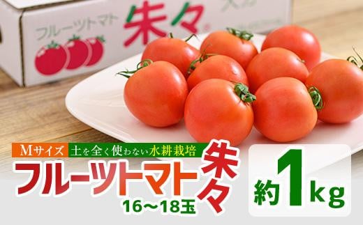 フルーツトマト 朱朱 Mサイズ (計1kg・16-18玉) 【CH63】【(株)サニープレイス】