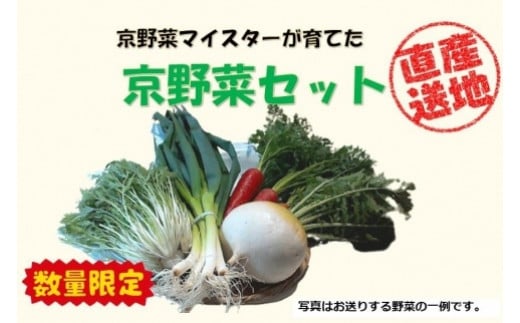 先行予約【京やさい佐伯】京野菜セット ＜数量限定＞ 746105 - 京都府京都市