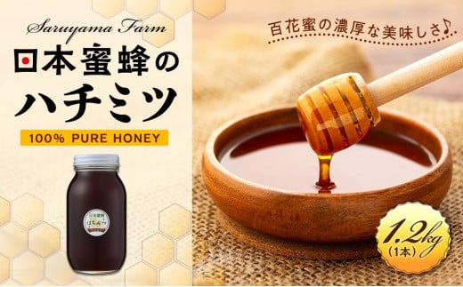日本蜜蜂のハチミツ100％！はちみつ1.2kg  高級 自然食品 無添加 ニホンミツバチ 701612 - 栃木県栃木市