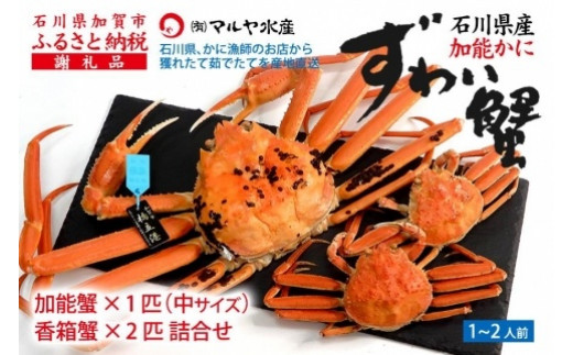 石川県産 加能かに/ズワイガニ ( 産地証明タグ付 ) 中サイズ 1匹 + 香箱かに 2匹 詰合せ ( 1～2人前 )
