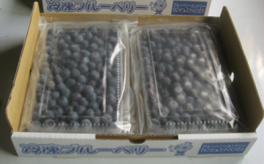 冷凍ブルーベリー1kg 477710 - 和歌山県海南市