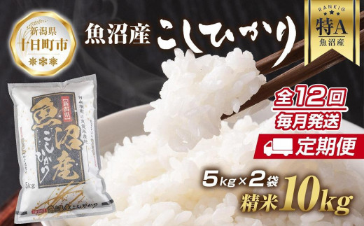 定期便】新潟県 魚沼産 コシヒカリ お米 10kg×計6回 精米済み 半年間