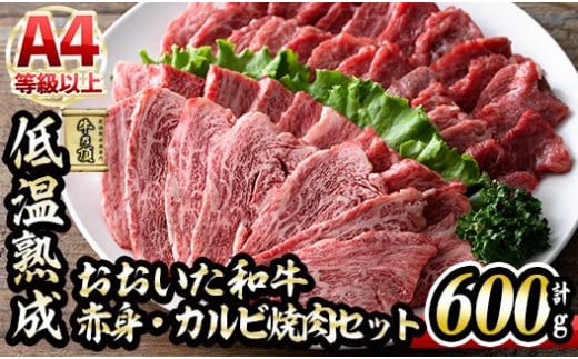 おおいた和牛 特選 焼肉 セット (合計600g・赤身300g+カルビ300g) 国産 牛肉 肉 霜降り 低温熟成 A4 和牛 ブランド牛 カルビ BBQ 冷凍 大分県 佐伯市【DH214】【(株)ネクサ】 533785 - 大分県佐伯市