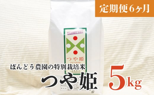 【令和5年産】【定期便6ヶ月】ばんどう農園の特別栽培米つや姫 5kg×6ヶ月 F05-006