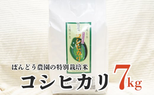 【令和5年産】 ばんどう農園の特別栽培米コシヒカリ 7kg A05-035