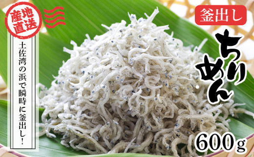 釜出しちりめん（しらす）約600ｇ（約300ｇ×2袋）鮮度日本一を目指します！浜で瞬時に釜出し