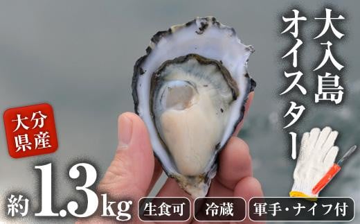 真ガキ 大入島オイスター (約1.3kg)  ＜生食可・シングルシード養殖＞【ED08】【(合)新栄丸】