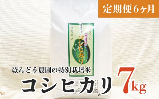 【令和5年産】【定期便6ヶ月】ばんどう農園の特別栽培米コシヒカリ 7kg×6ヶ月 F05-008