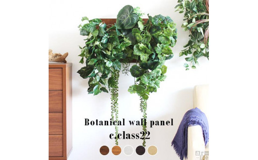 Botanical c.class 22　ブラウン