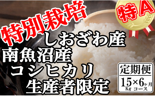 【定期便：15Kg×6ヶ月】特別栽培 生産者限定  南魚沼しおざわ産コシヒカリ 446519 - 新潟県南魚沼市