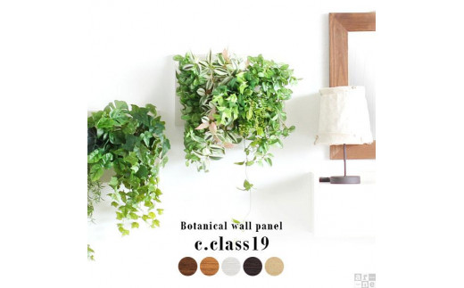 Botanical c.class 19　ホワイトウッド