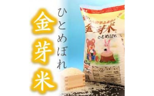 【無洗米】金芽米ひとめぼれ4.5kg 令和4年産