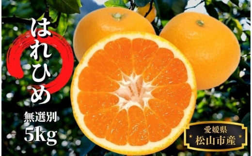 【はれひめ】 無選別5kg ＜12月～1月頭頃発送＞