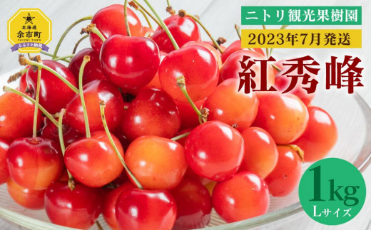 フルーツ王国余市産「紅秀峰」【Lサイズ】1kg【ニトリ観光果樹園】