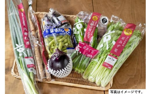 【JA全農京都】季節の京野菜セット 745415 - 京都府京都市