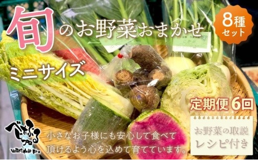 旬のお野菜おまかせ8種セット・ミニサイズ（1～2人） ※ 定期便 【全6回お届け】