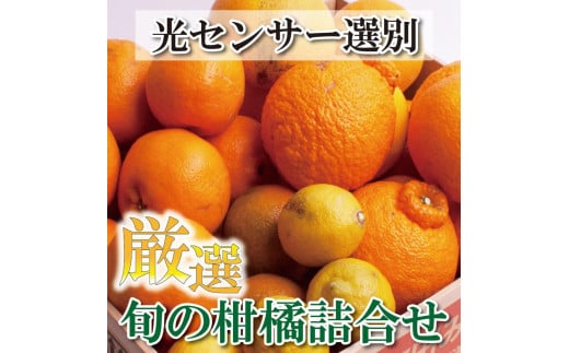 ＜1月より発送＞厳選 柑橘詰合せ2kg+60g（傷み補償分）【有田の春みかん詰め合わせ・フルーツ詰め合せ・オレンジつめあわせ】【光センサー選別】